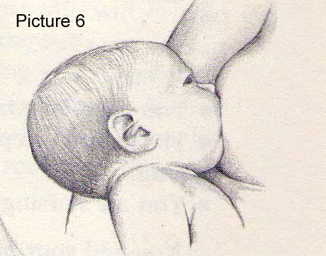 Breastfeeding picture 6